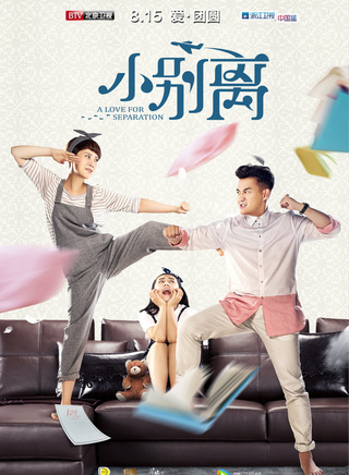 陳數(shù)參演電影/電視劇