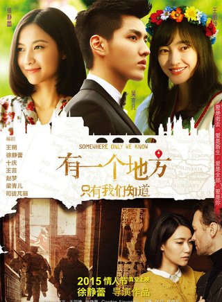 王麗坤參演電影/電視劇