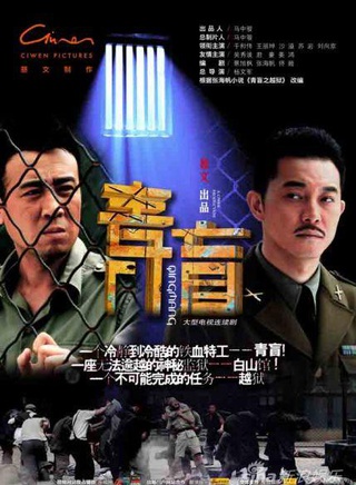 王麗坤參演電影/電視劇