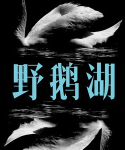 萬茜參演電影/電視劇