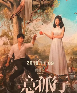 萬茜參演電影/電視劇