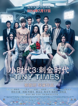 王琳參演電影/電視劇