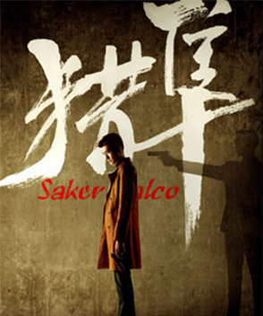 張儷參演電影/電視劇