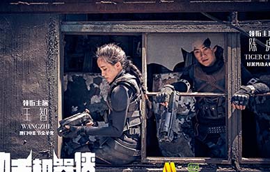 王智和陳虎主演的電影叫什么